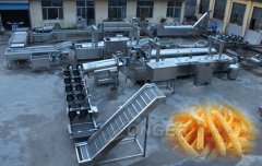 Reasons Why Choose Frozen French Fries Production Line